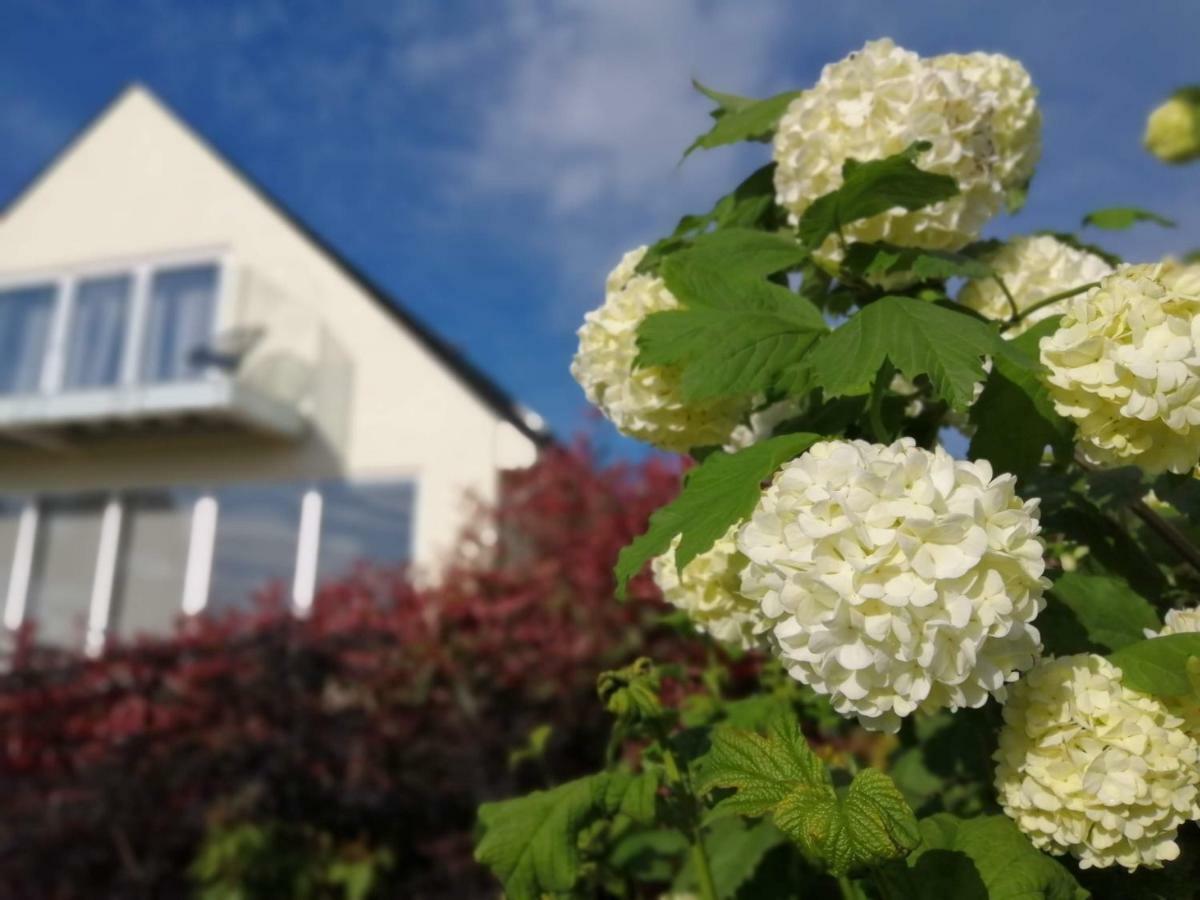 Meadow Cottage Bed & Breakfast Hawkhurst Kültér fotó